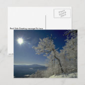 Carte Postale Paysage d'hiver, Nouvelle-Angleterre (Devant / Derrière)