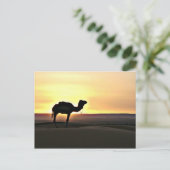 Carte Postale Paysage du désert au chameau (Debout devant)