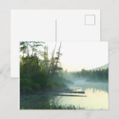 Carte Postale Paysage du marais des arbres (Devant / Derrière)