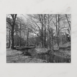 Carte Postale Paysage du parc - Bute Park, Cardiff