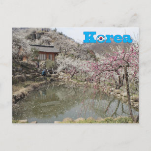 Carte Postale Paysage du printemps coréen
