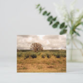 Carte Postale Paysage du Sénégal (Debout devant)