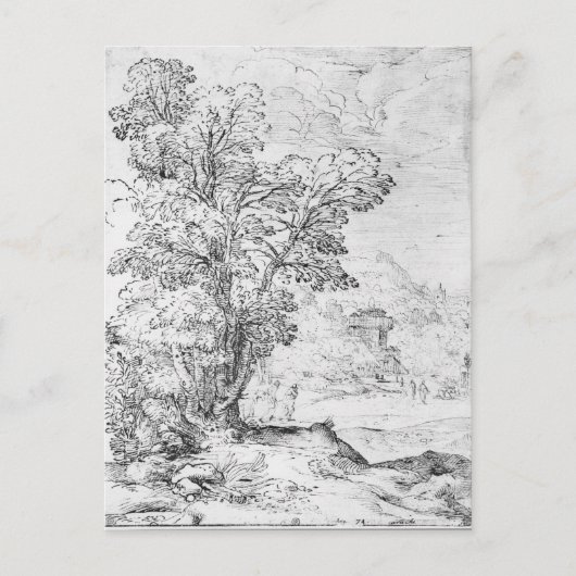 Carte Postale Paysage en bois (Devant)