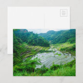 Carte Postale Paysage en terrasse sur le riz, Philippines (Devant / Derrière)