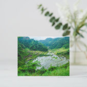 Carte Postale Paysage en terrasse sur le riz, Philippines (Debout devant)