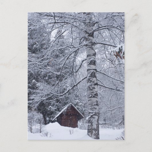 Carte Postale paysage enneigé (Devant)