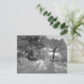 Carte Postale Paysage enneigé : Cheshire (Debout devant)