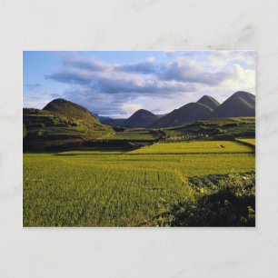 Carte Postale Paysage entre Kaili et Qinghai, province de Guizho