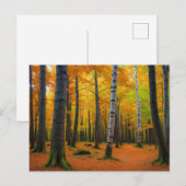 Carte Postale Paysage forestier automnal (Devant / Derrière)
