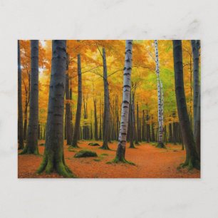 Carte Postale Paysage forestier automnal