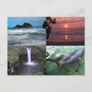 Carte Postale Paysage hawaïen Quatre Photo Aloha Hawaii