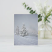 Carte Postale Paysage hivernal (Debout devant)