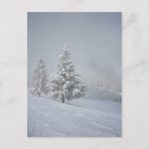 Carte Postale Paysage hivernal