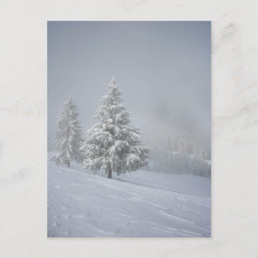 Carte Postale Paysage hivernal (Devant)
