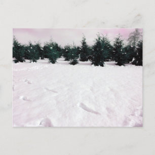 Carte Postale Paysage hivernal avec des larches dans la neige