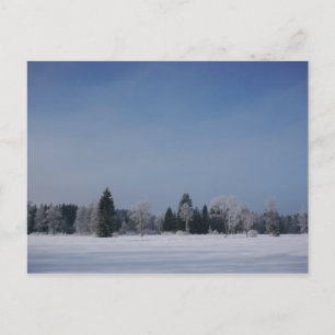 Carte Postale Paysage hivernal froid et neige 12