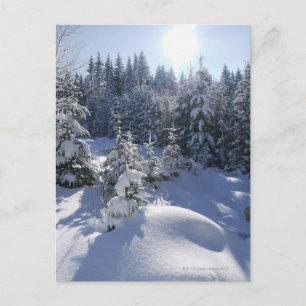 Carte Postale Paysage hivernal froid neige 2