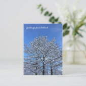Carte Postale Paysage islandais (Debout devant)