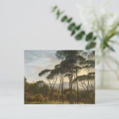 Carte Postale Paysage italien avec pins parasols (Debout devant)