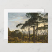 Carte Postale Paysage italien avec pins parasols (Devant / Derrière)