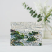 Carte Postale Paysage marin (Debout devant)