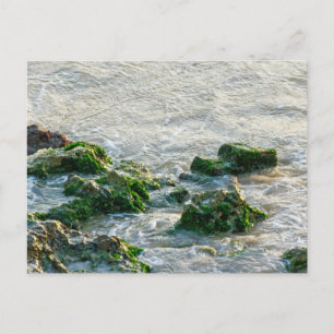 Carte Postale Paysage marin