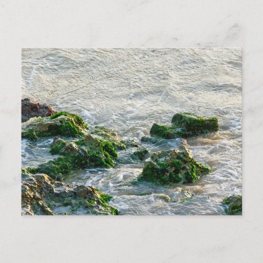 Carte Postale Paysage marin (Devant)