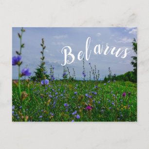Carte Postale Paysage naturel Paysage rural Champ Biélorussie