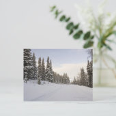 Carte Postale paysage Neige-couvert (Debout devant)