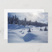 Carte Postale Paysage neigeux (Devant / Derrière)