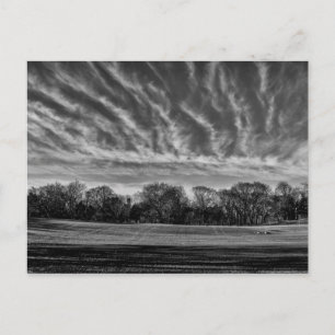 Carte Postale Paysage noir et blanc Central Park Photo