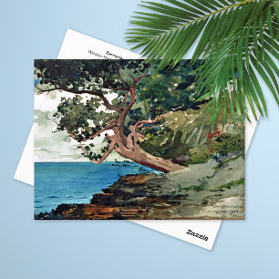 Carte Postale Paysage océanique des Bermudes Winslow Homer