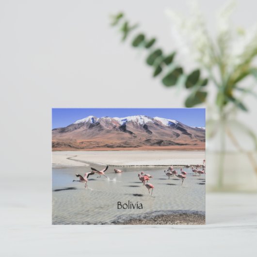 Carte Postale Paysage pittoresque de Bolivie (Debout devant)