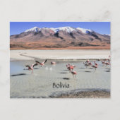 Carte Postale Paysage pittoresque de Bolivie (Devant)