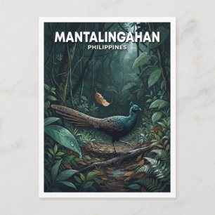 Carte Postale Paysage protégé de Mount Mantalingahan Bataraza