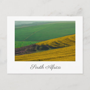Carte Postale Paysage rural d'Afrique du Sud Champs de canola