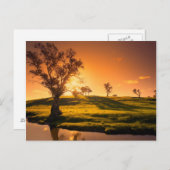 Carte Postale Paysage rural des collines d'Adélaïde (Devant / Derrière)