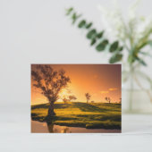 Carte Postale Paysage rural des collines d'Adélaïde (Debout devant)