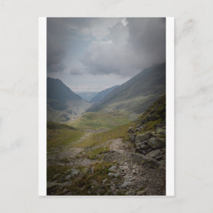 Carte Postale Paysage sauvage en Roumanie