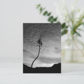Carte Postale Paysage Sky (Debout devant)