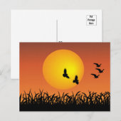 Carte Postale Paysage solaire avec oiseaux volants Canards (Devant / Derrière)