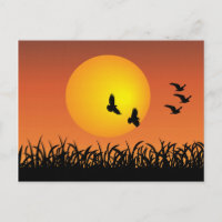 Paysage solaire avec oiseaux volants Canards