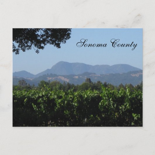 Carte Postale Paysage Sonoma ! (Devant)