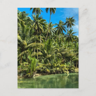 Carte Postale Paysage tropical, philippines, Kawasan falls Cas