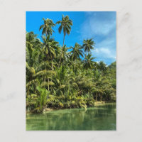 Paysage tropical, philippines, Kawasan falls Cas