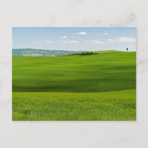 Carte Postale Paysage typique de Toscane avec collines - Italie