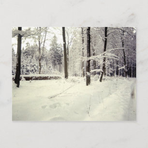 Carte Postale Paysages