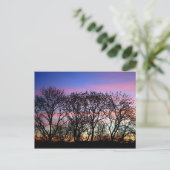 Carte Postale Paysages (Debout devant)