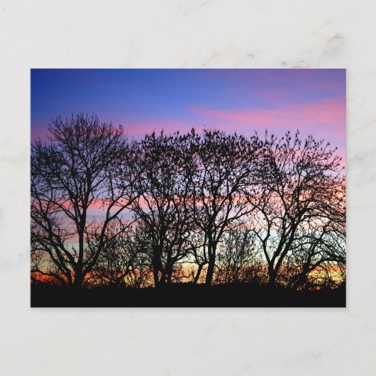 Carte Postale Paysages (Devant)