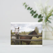 CARTE POSTALE PAYSAGES DE PAYS (Debout devant)